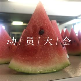 蝶舞软件