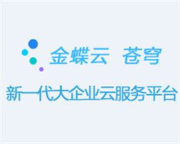 金蝶云苍穹