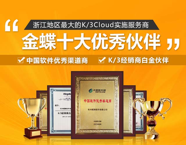 金蝶十大优秀伙伴